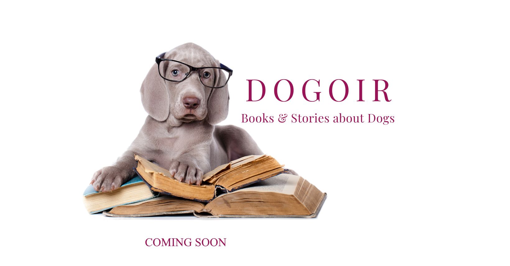 dogoir dog reading books cs